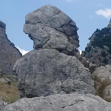 Il Campanile Di Leone Pina Bed and breakfast