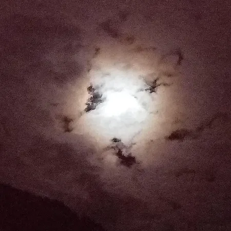 Il Campanile Di Leone Pina Frühstückspension San Lorenzo Bellizzi