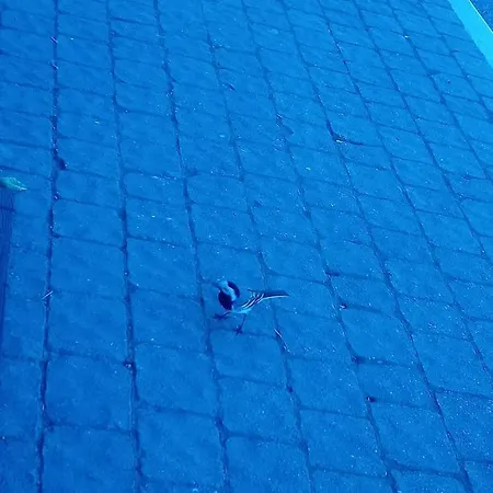فندق مبيت وإفطار Il Campanile Di Leone Pina 3*