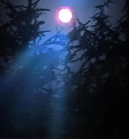 Il Campanile Di Leone Pina 3* San Lorenzo Bellizzi