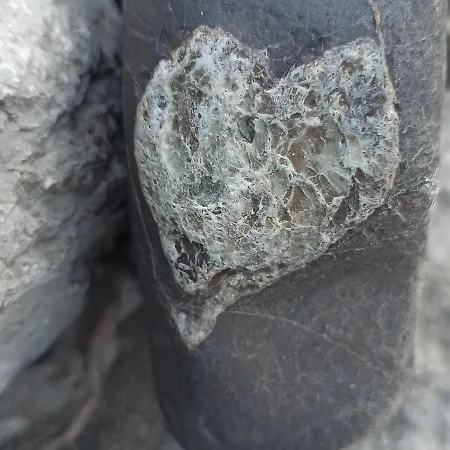 Frühstückspension Il Campanile Di Leone Pina 3*