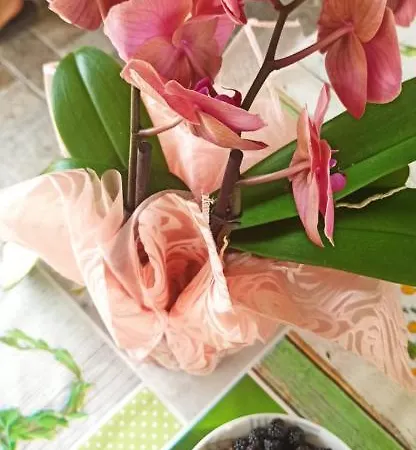 Il Campanile Di Leone Pina Bed and breakfast 3*