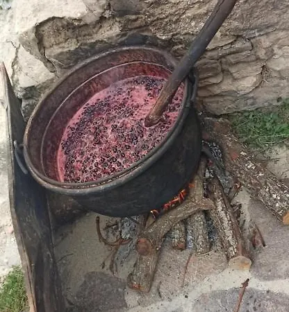 Il Campanile Di Leone Pina Bed and breakfast San Lorenzo Bellizzi