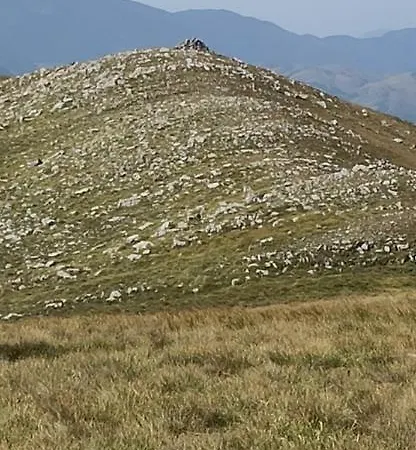 Il Campanile Di Leone Pina Frühstückspension San Lorenzo Bellizzi