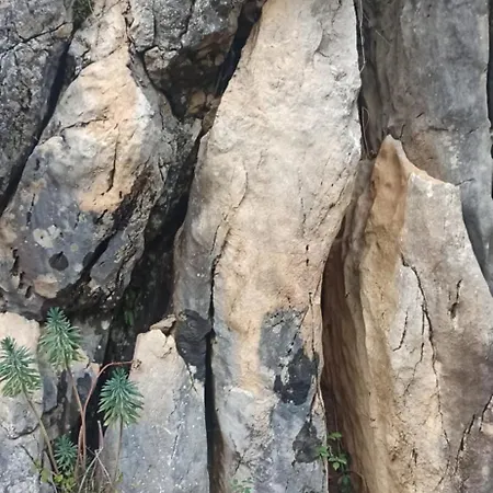 Bed and breakfast Il Campanile Di Leone Pina 3*