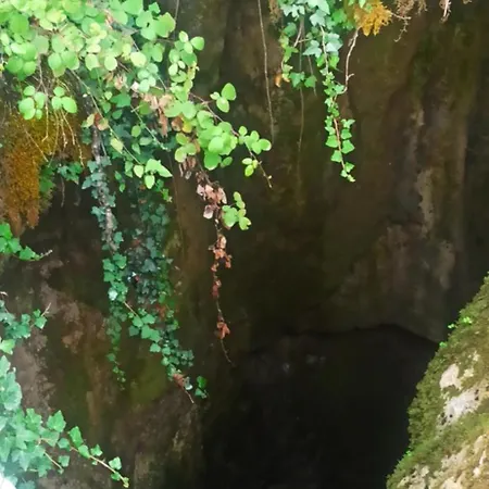 Frühstückspension Il Campanile Di Leone Pina 3*