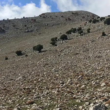 Il Campanile Di Leone Pina San Lorenzo Bellizzi