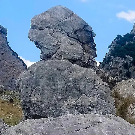 Il Campanile Di Leone Pina فندق مبيت وإفطار