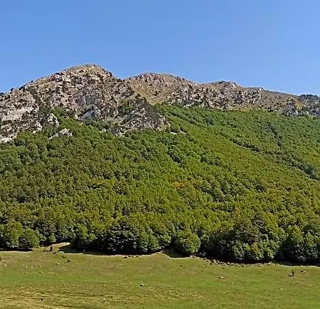 Il Campanile Di Leone Pina 3* San Lorenzo Bellizzi